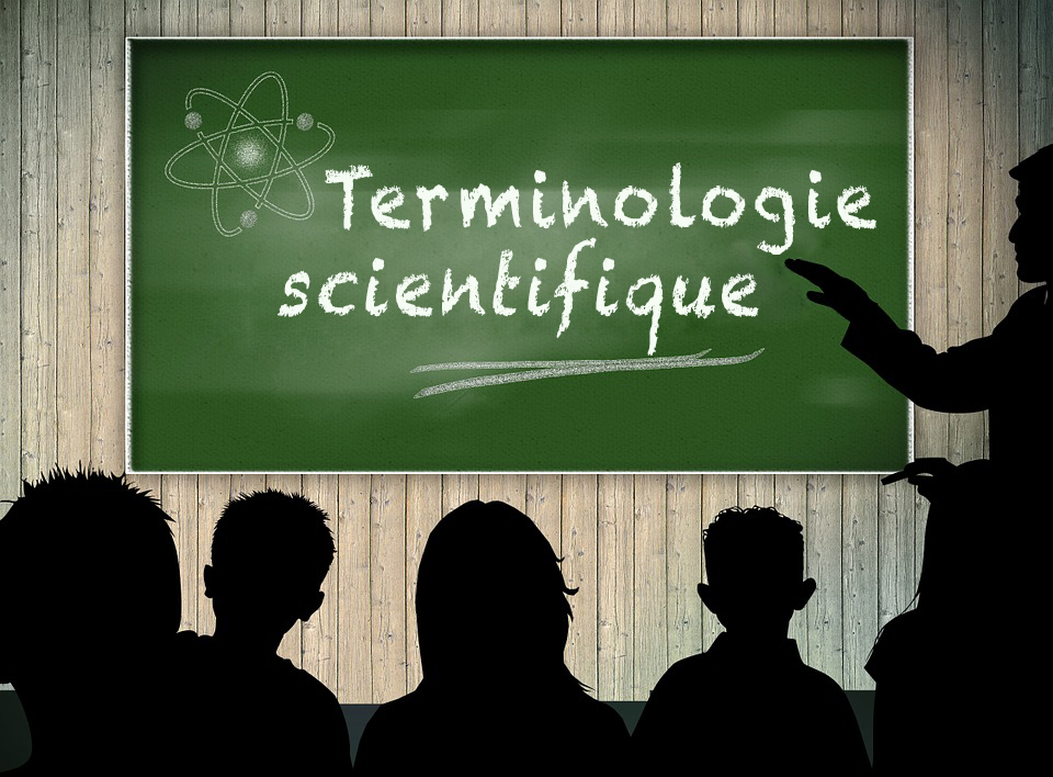 Initiation à la terminologie scientifique  ITS2019