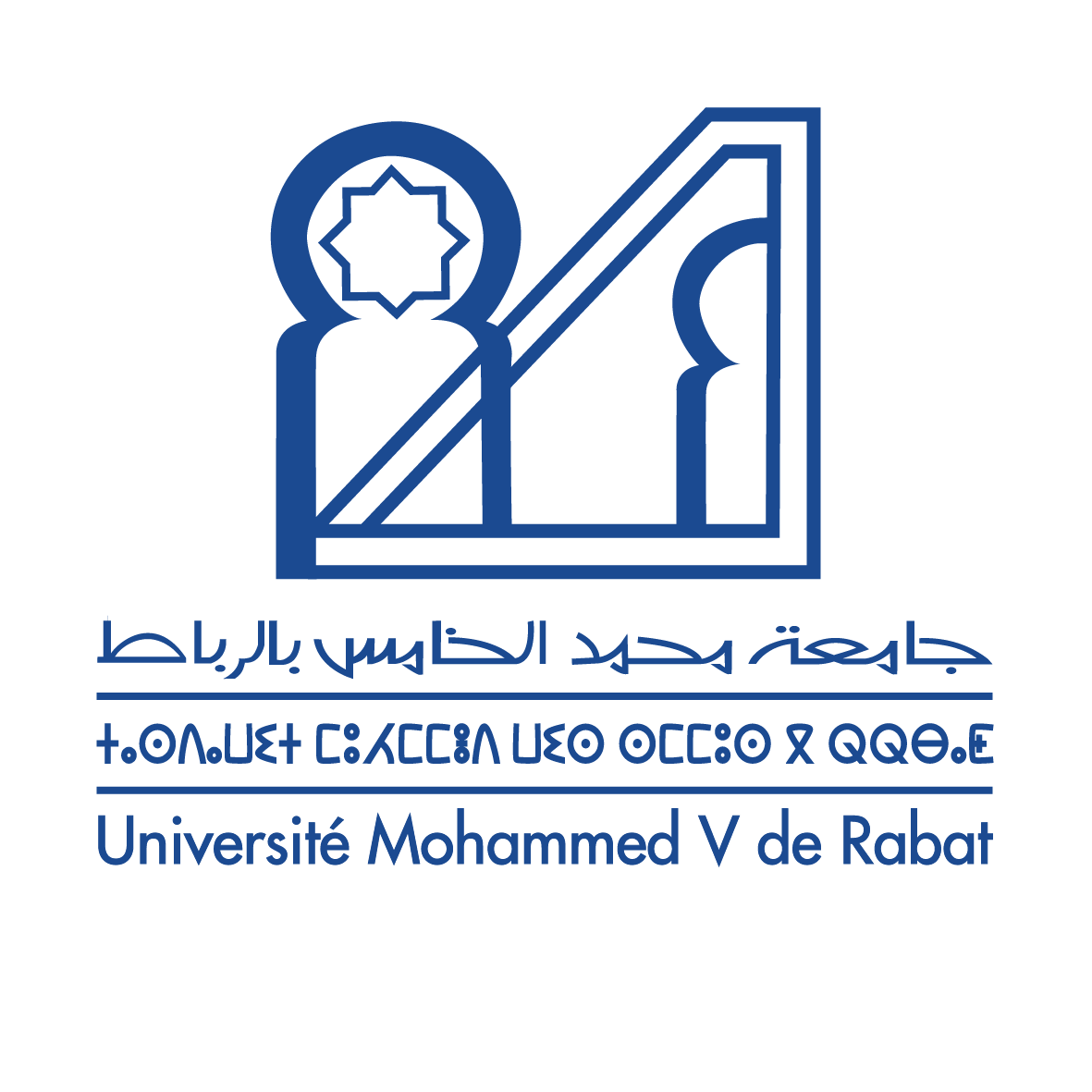 Page d'accueil UM5MOOC